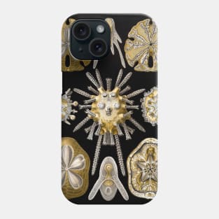 Sand Dollars Echinidea by Ernst Haeckel Phone Case