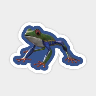 Frog/Red-Eyed Amazon Tree Frog (Agalychnis Callidryas) 3d rendering Magnet