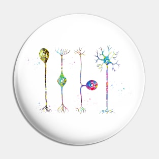 Four types of neurons Pin