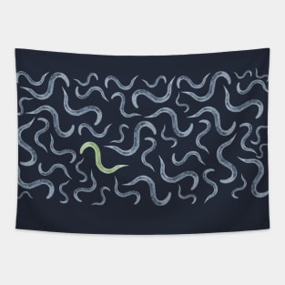 Caenorhabditis elegans Model Organism Biology Pattern Tapestry