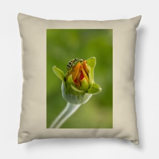 Budding flower Pillow