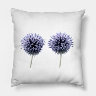 Echinops Pillow