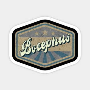 vintage Bocephus Magnet