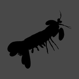 Peacock mantis shrimp (Odontodactylus scyllarus) silhouette T-Shirt