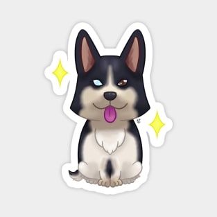 Corgi Pembroke tricolor black head Magnet