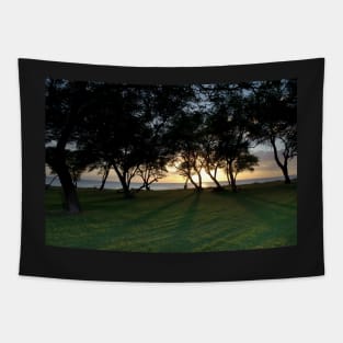 Sunset and Oahu Tapestry