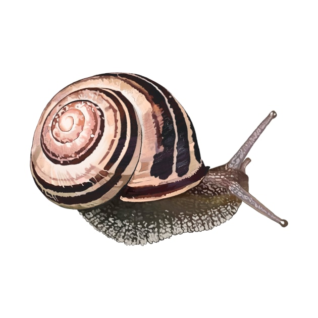 White-Lipped Snail / Cepaea hortensi by magicae