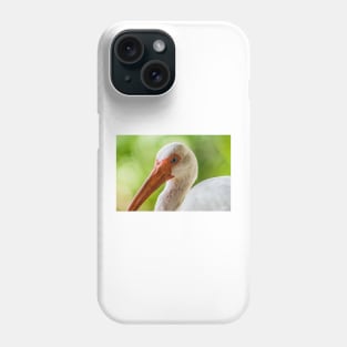 More American white ibis Phone Case