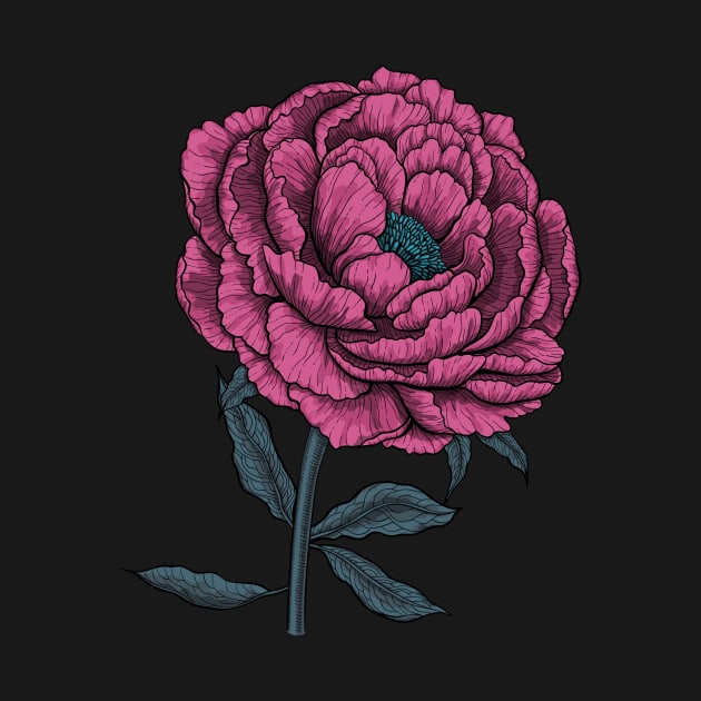 Peony drawing 3 by katerinamk