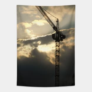 Celestial Serenity: Moon, Clouds, and Crane Tapestry