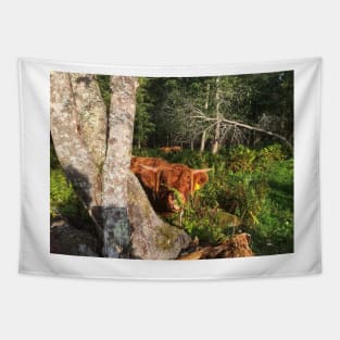 Scottish Highland Cattle Calf 2102 Tapestry