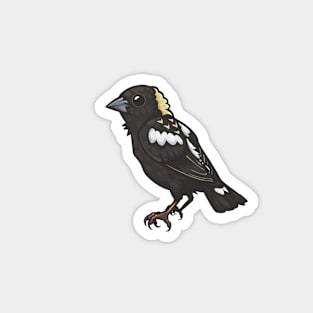 Bobolink Magnet