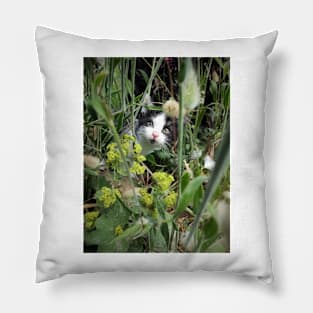 The tomcat Robby in the flowerbed Pillow