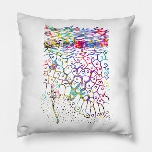 Anatomical skin layers Pillow