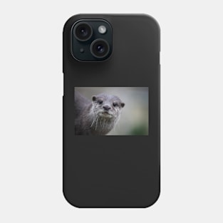 Here`s Looking At You Phone Case