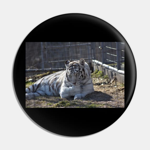 White Tiger Pin by MarieDarcy