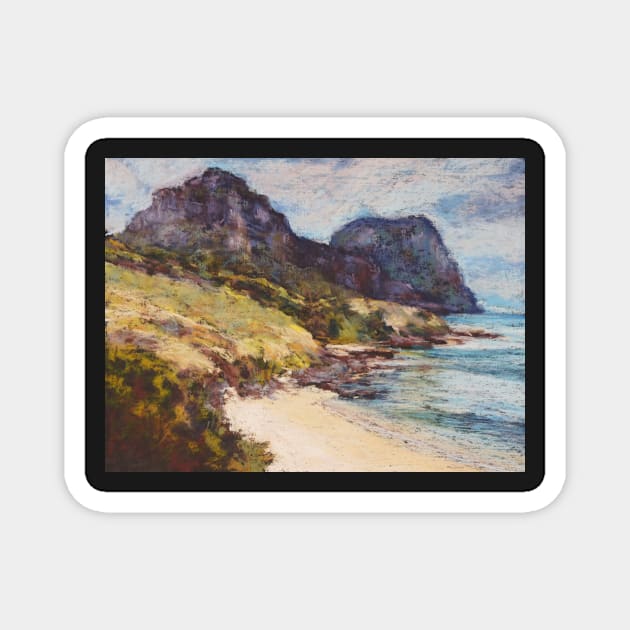 Lovers Bay, Lord Howe Island Magnet by Terrimad