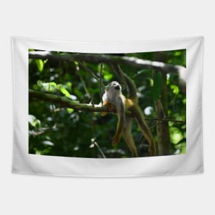 Squirrel Monkey at Rest Tapestry