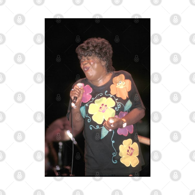 Koko Taylor Photograph by Concert Photos