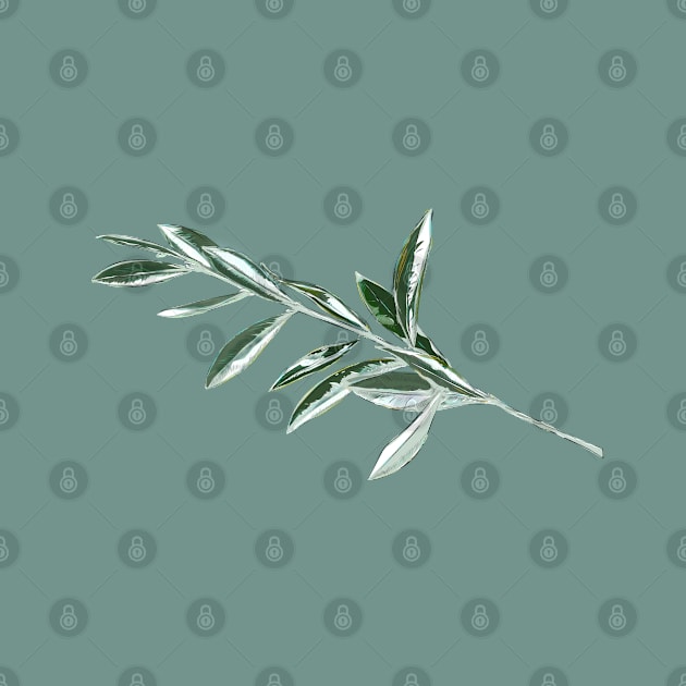 Olive branch by Slownessi