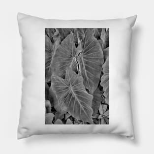 Tropical Plantation Maui Study 18 Pillow