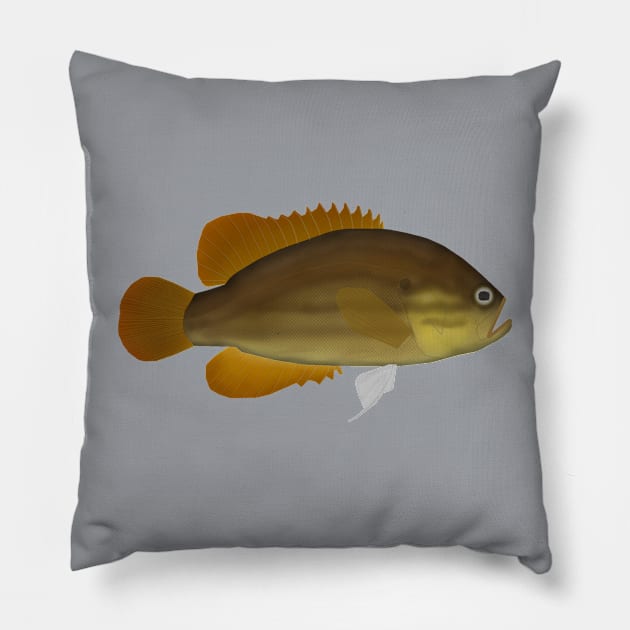 Mud Sunfish Pillow by FishFolkArt