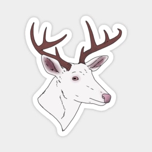 Albino Deer Head Magnet