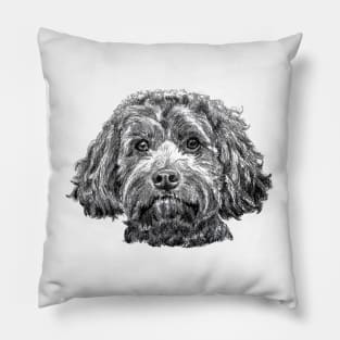 Cockapoo Pillow