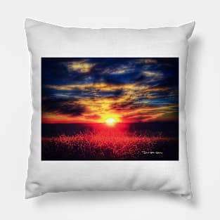 Here Comes The Sun Pillow