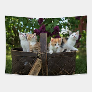 Cute Cats in Basket Tapestry