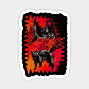 Psychedelic Black Cat Funny Red Melty colorful background surreal collage Magnet