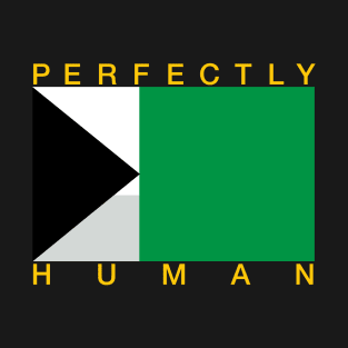 Perfectly Human - Demiromantic Pride Flag T-Shirt
