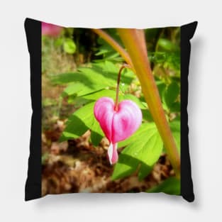 red bleeding hearts #9 Pillow