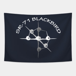 SR-71 Blackbird Surveillance Aircraft Tapestry