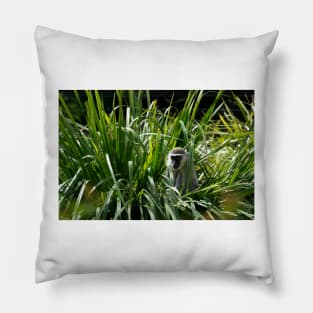Monkey In The Grass Pillow