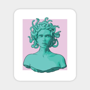 MEDUSA Magnet