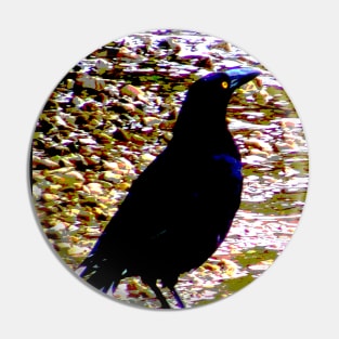 Raven! Pin