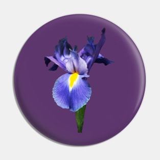 Irises - Delicate Purple Iris Pin