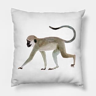 Vervet monkey hand painted watercolor Pillow