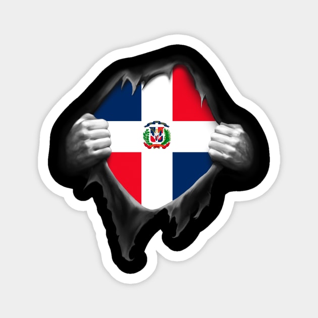 Dominican Republic. Dominican Flag Magnet by nikolayjs