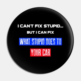 I can't fix stupid. But I can fix what stupid does to your car. Pin