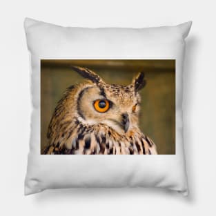 Bengali Eagle Owl Pillow