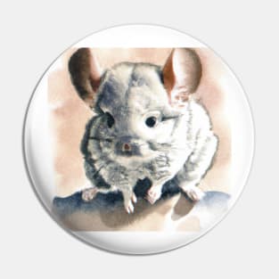 cute chinchilla 6 Pin