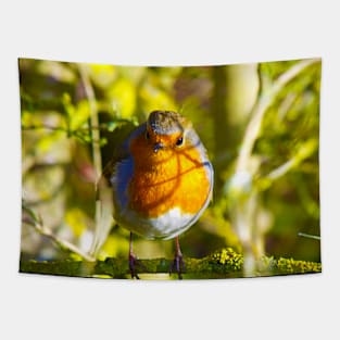 British Robin Tapestry