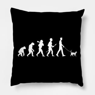 Catvolution Pillow