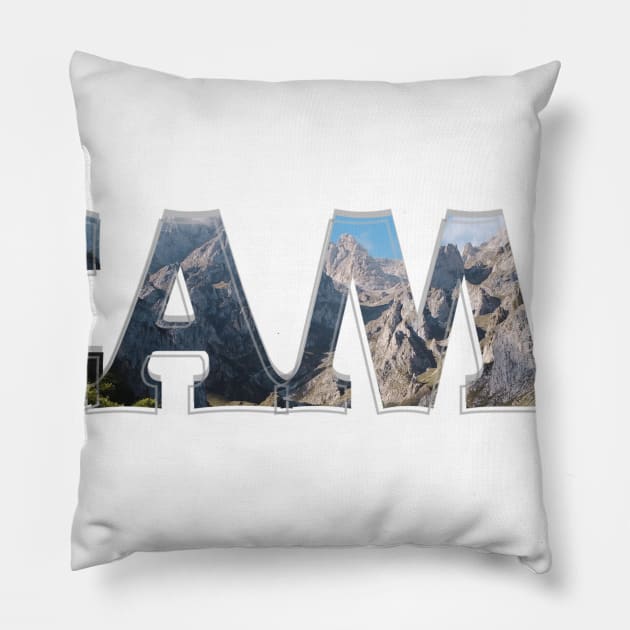 CAMP Pillow by afternoontees