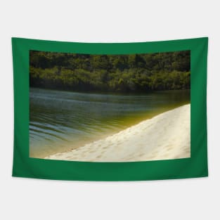 Sand Dune Meets Green Lake Tapestry