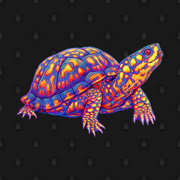 Rainbow Eastern Box Turtle by rebeccawangart