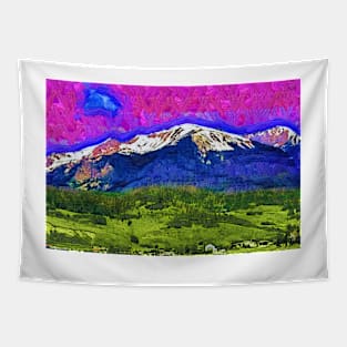 A Field, Forest And Snow Capped Mountains In Colorado Tapestry