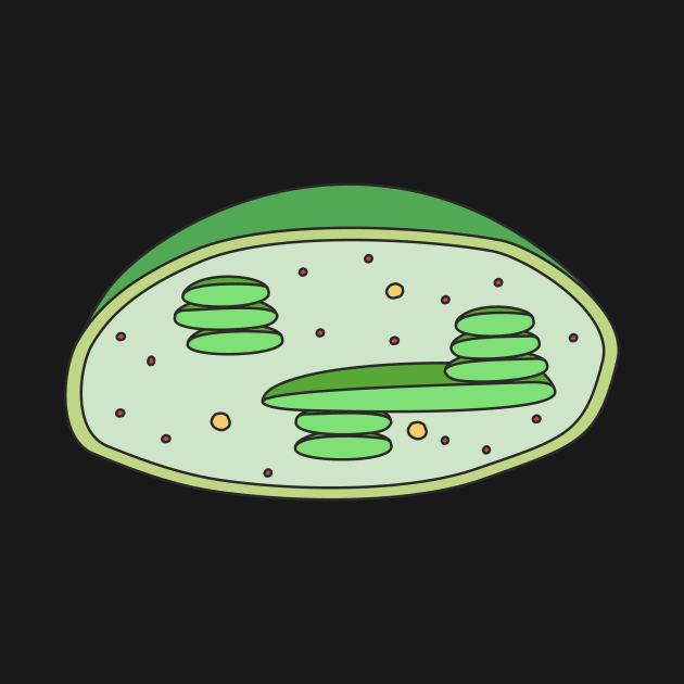 Chloroplast by RosArt100